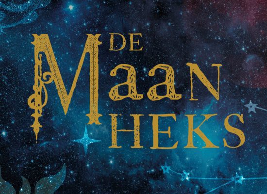 logo maanheks